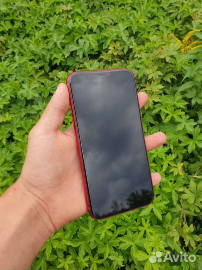 iPhone XR 64GB