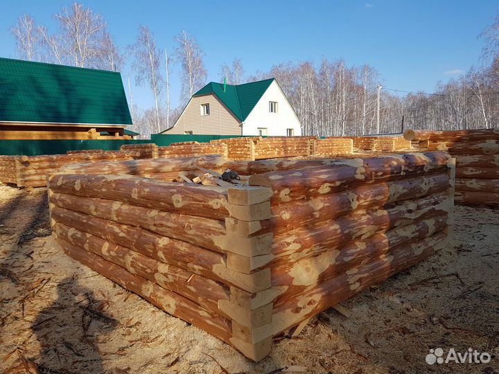 Срубы из Зимней Башкирской Сосны