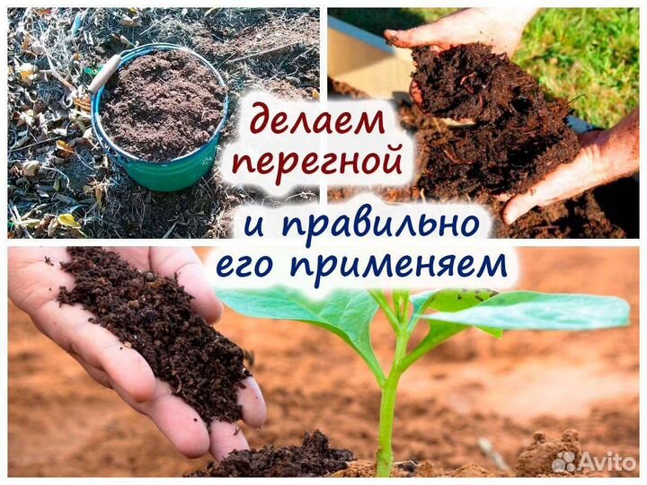 Удобрение перегной грунт навоз для грядок