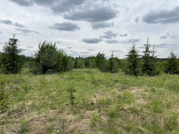 Участок 8,99 га (СНТ, ДНП)