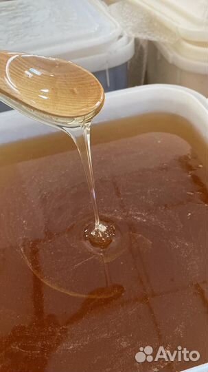 Акациевый мёд от производителя оптом