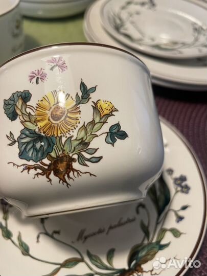 Villeroy boch botanica