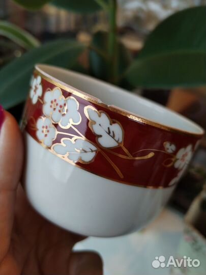 Чашка с блюдцем, Полонне, 1950-е