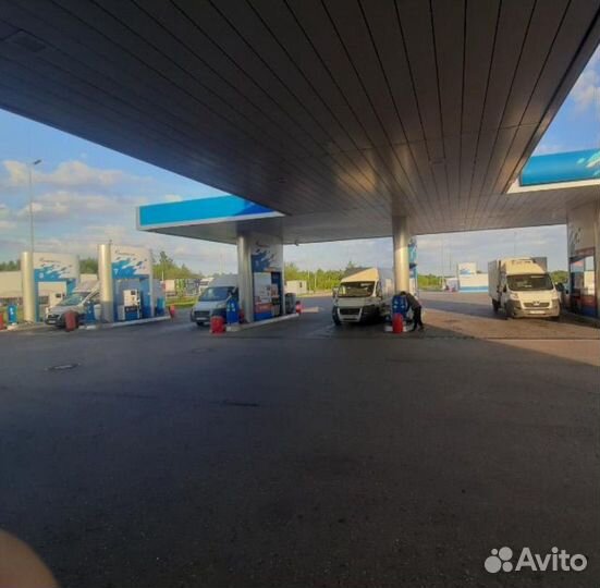 Водитель экспедитор категория в