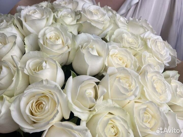 Белые розы букет цветы