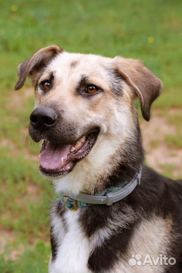 Худышка Чара очень хочет дружить