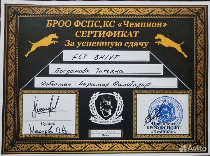 Инструктор по дрессировке