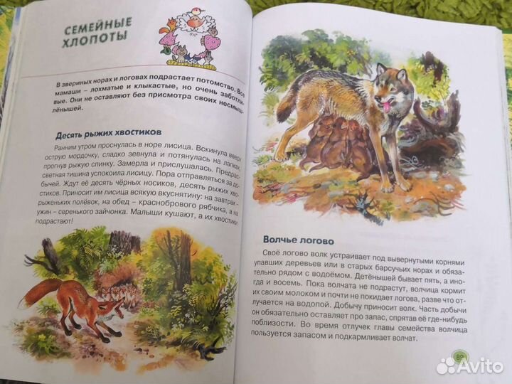 Сказки леса