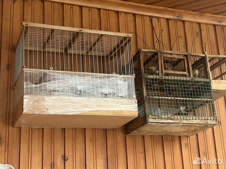 Клетка для птиц бу