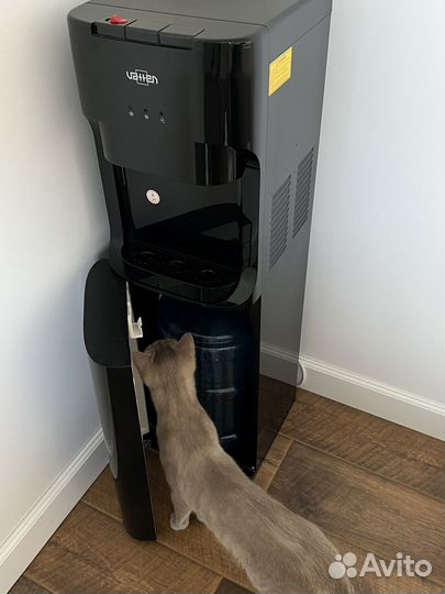 Кулер для воды