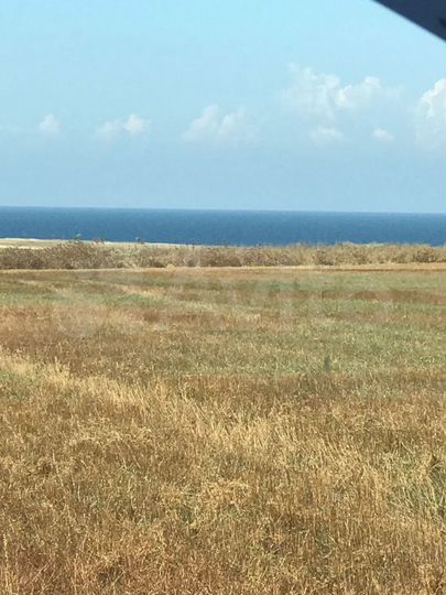 Участок 1,5 га (СНТ, ДНП)