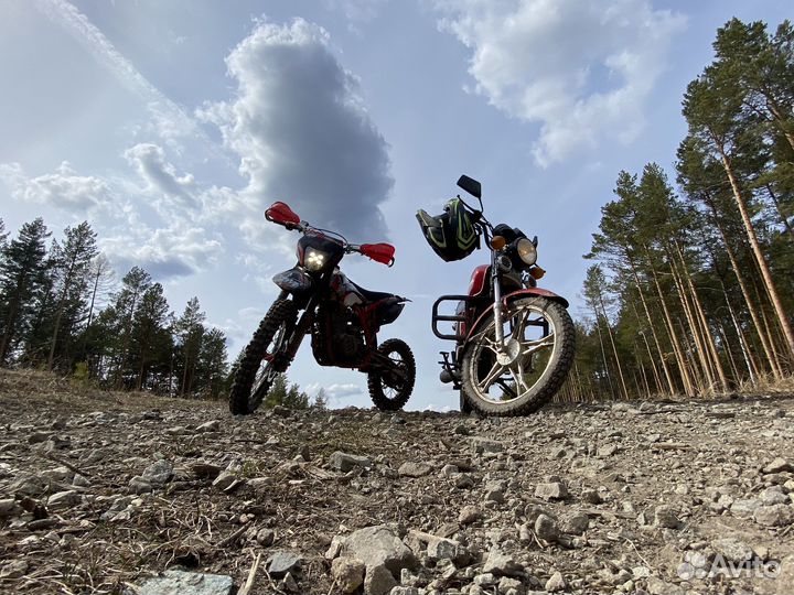 Мобед Альфа