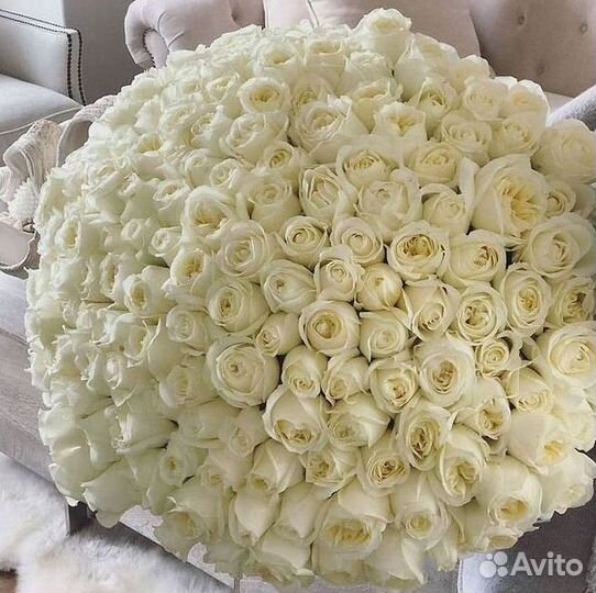 Высокие розы Доставка цветов