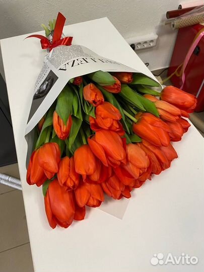 Тюльпаны к 14 февраля 8 марта