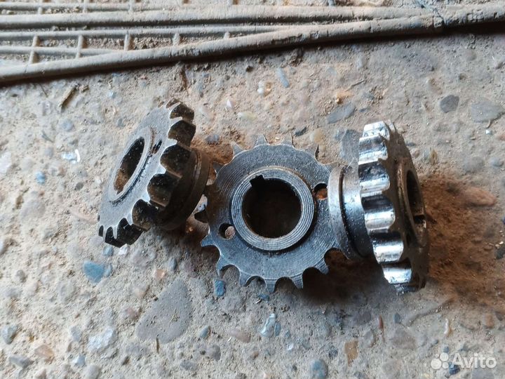 Ведущая моторная звезда Тула Муравей