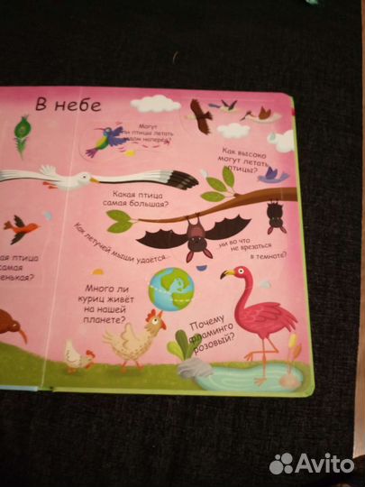 Детская познавательная книга, животные