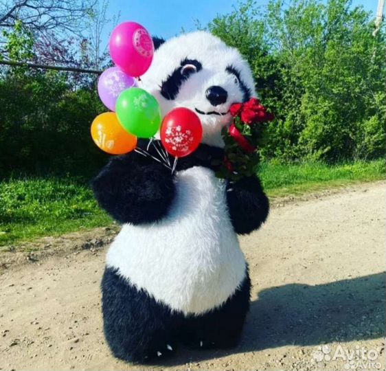 Аниматор, ростовая кукла, панда, поздравление