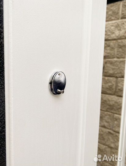 Дверь входная с зеркалом и установкой
