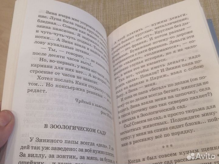 Саша чёрный дневник фокса микки