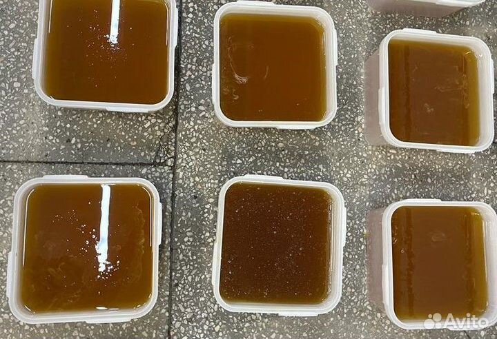 Мед акациевый оптом