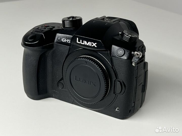 Panasonic Lumix GH5