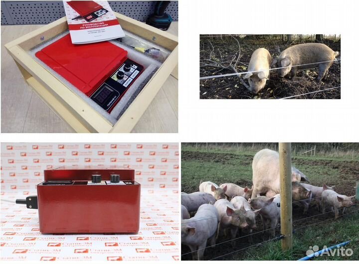 Электропастух