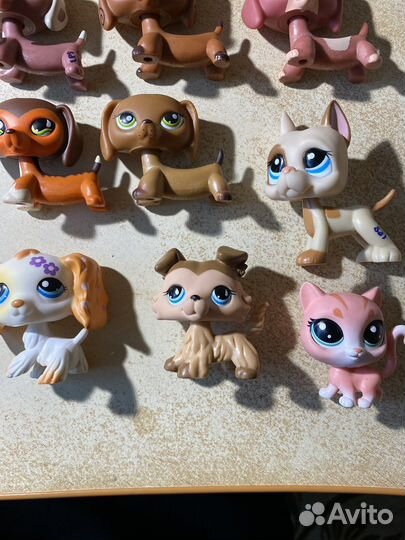 Littlest pet shop