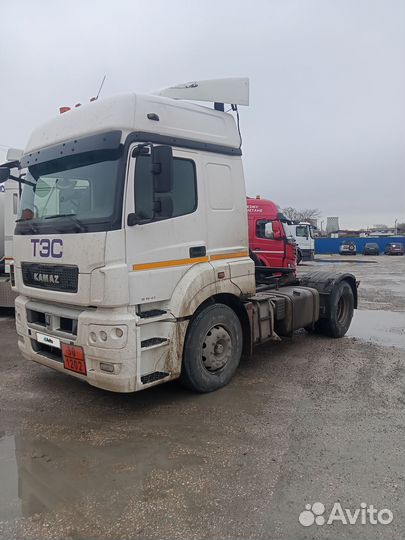 КАМАЗ 5490, 2014