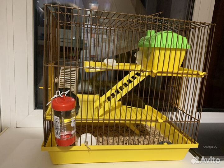 Джунгарские хомяки с клеткой