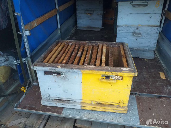 Улей для пчел бу