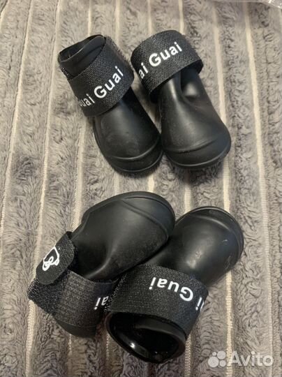 Обувь для маленьких собак