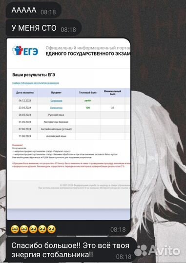 Репетитор по русскому языку и литературе (ЕГЭ)