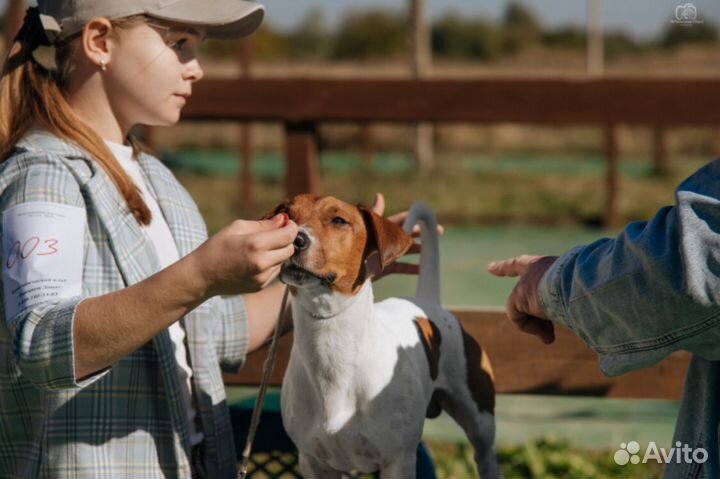 Услуги хендлера