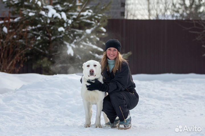 Гостиница для животных