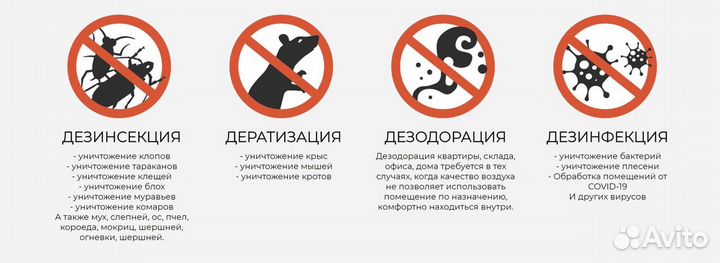 Дезинфекция