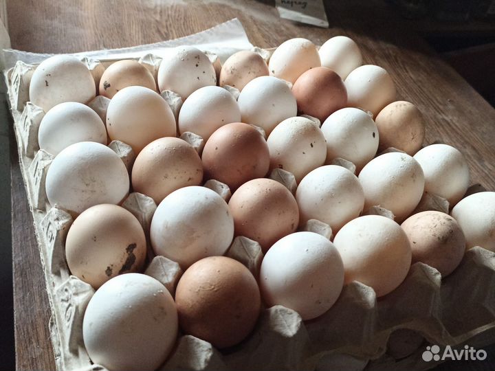 Продукты