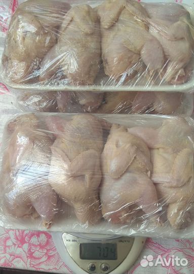 Яйцо, мясо перепелиное. Куриное яйцо