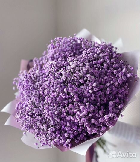 Букет из гипсофилы оптом