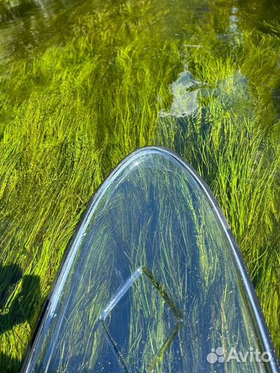 Тур на прозрачных сапах по реке Оредеж