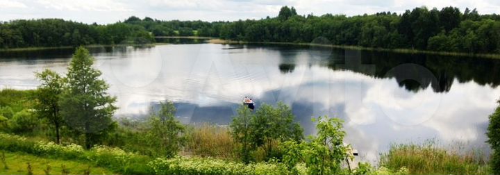 Участок 1,5 га (ИЖС)