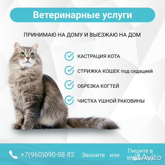 Кастрация кота рядом