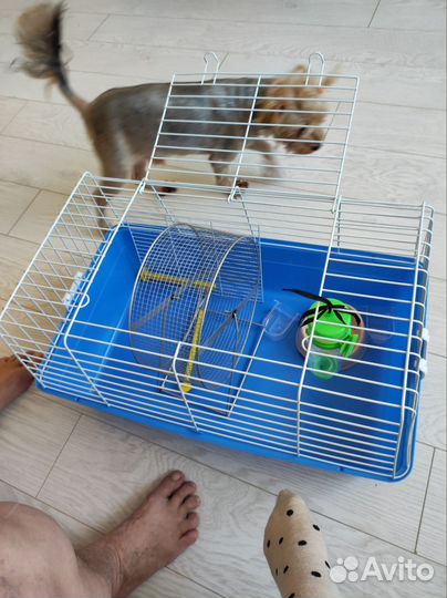 Клетка большая 37 * 60. В отличном состоянии