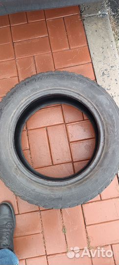 Gislaved Nord Frost 5 185/65 R15