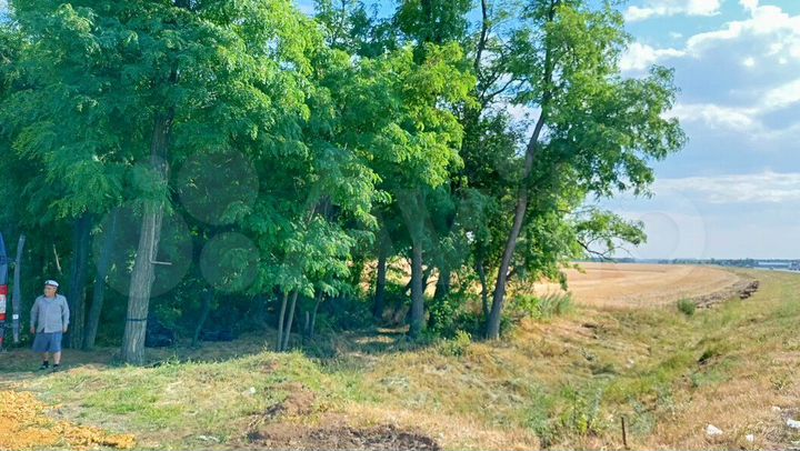 Участок 100 сот. (промназначения)