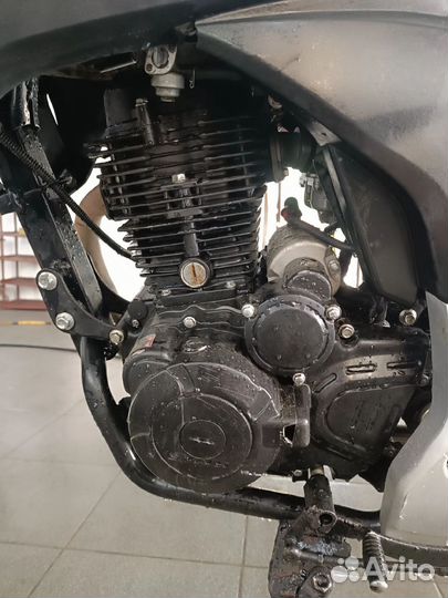 Stels flex 250
