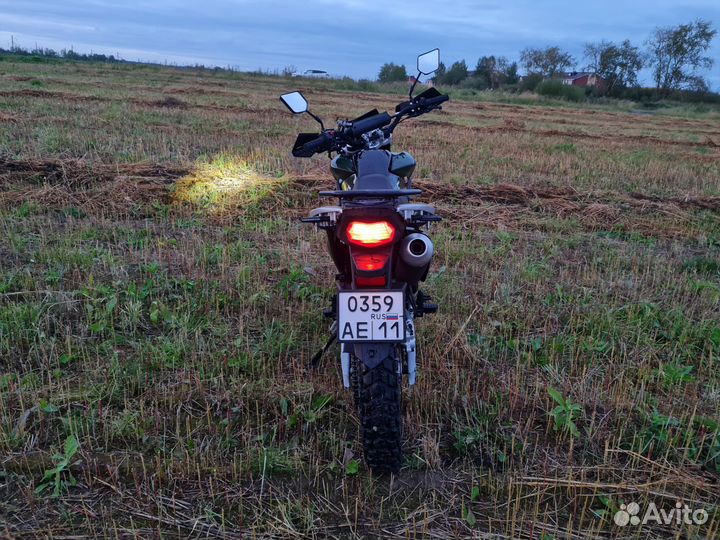 Regulmoto TE 300 2023