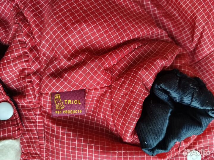 Костюм для маленькой собачки