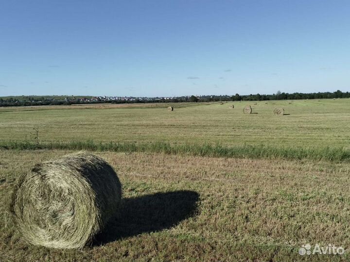 Сено в рулонах 2023 г