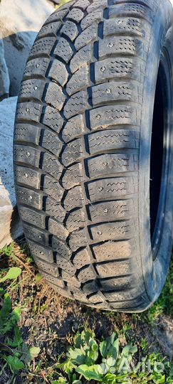 Tigar Sigura Stud 185/65 R15 92T