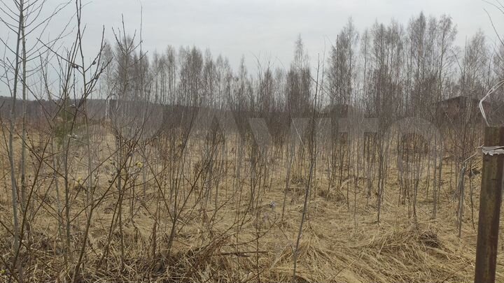 Участок 22,9 сот. (ИЖС)